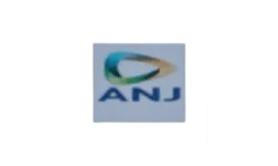 Anantjeet Snack N food Pvt Ltd logo