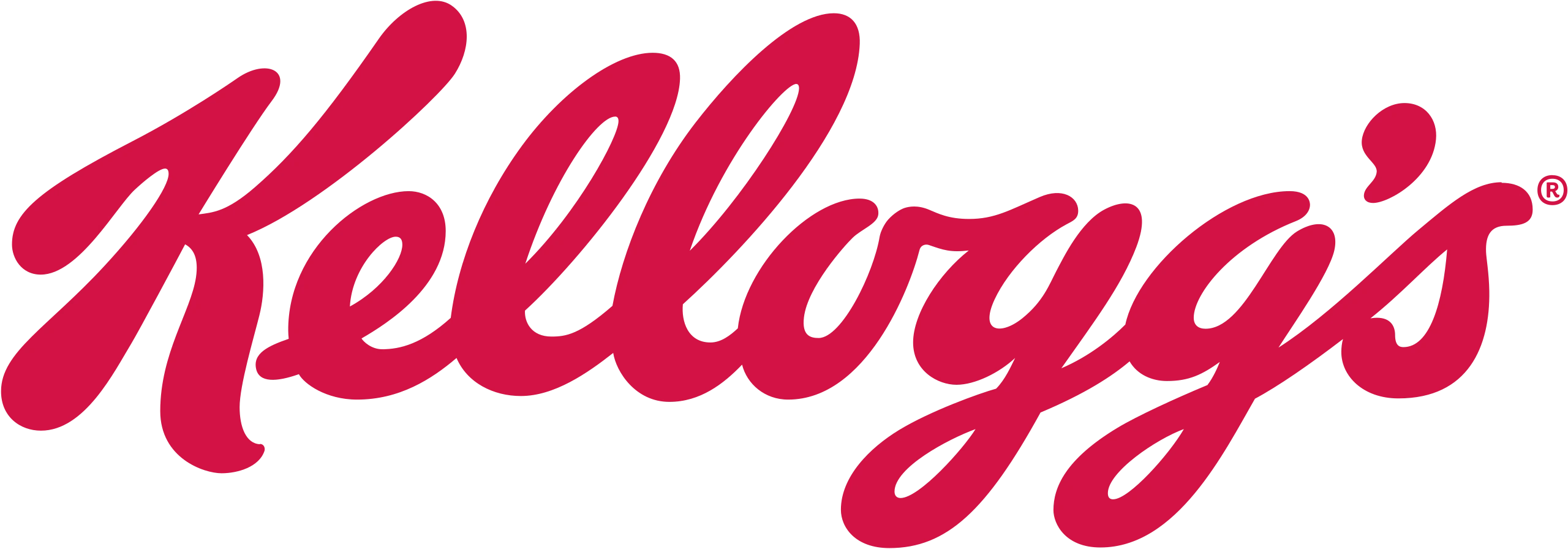 Kellogg India Private Limited