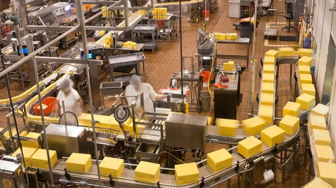 5 Critical Design Mistakes That Jeopardize Food Safety and Business Success