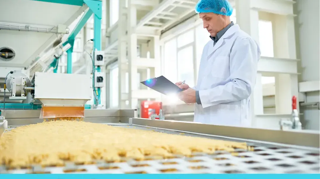Food Processing Industry in India: Growth, Challenges, and Future Opportunities