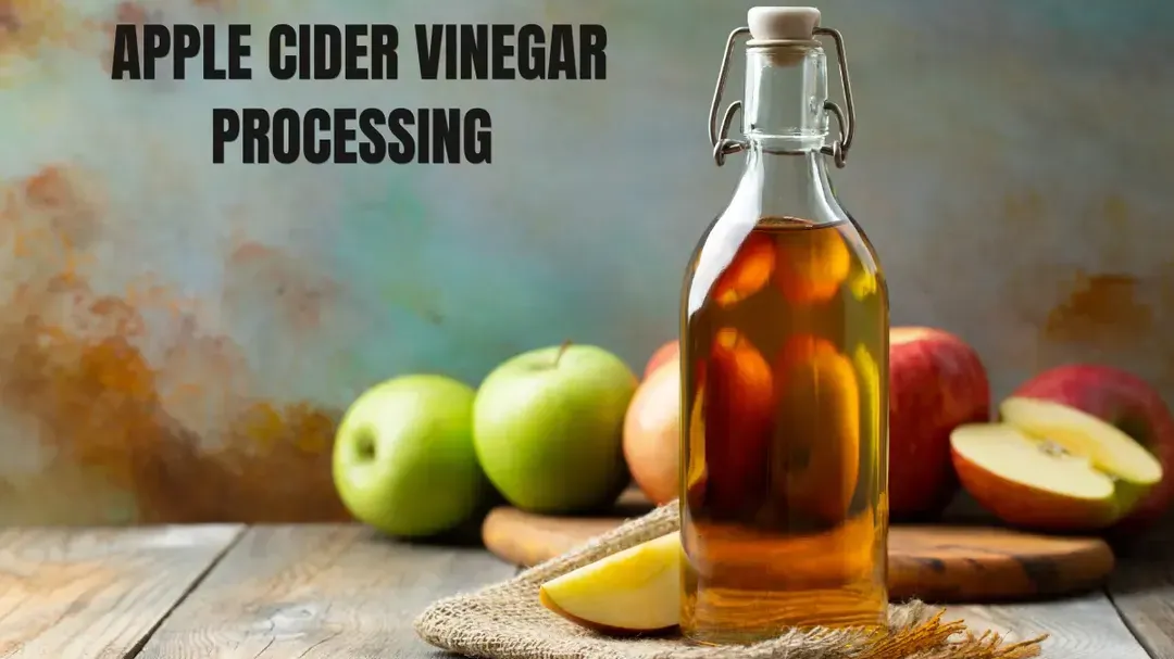 Apple Cider Vinegar Processing: From Orchard to Bottle