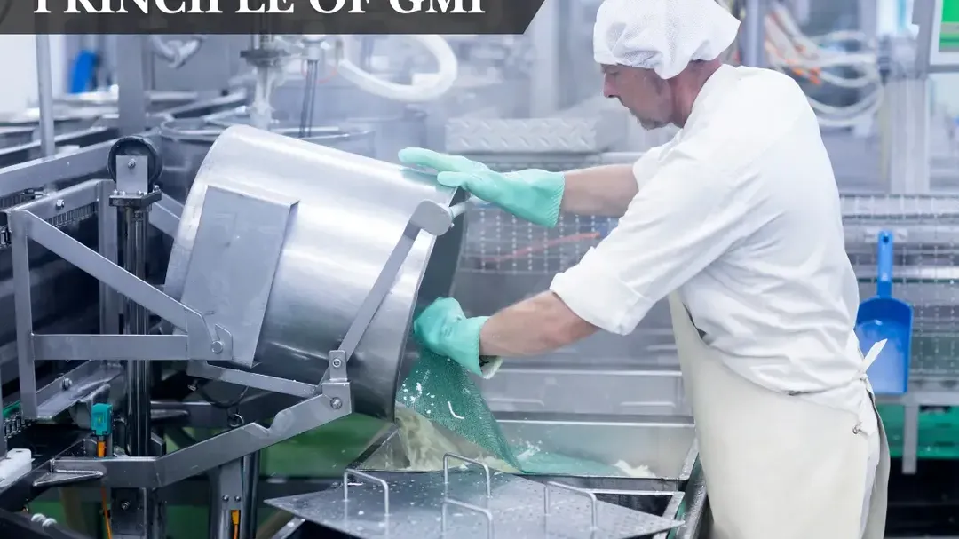 Principle of Good Manufacturing Practices (GMP)