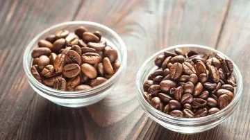 Coffee: Types and Characteristics