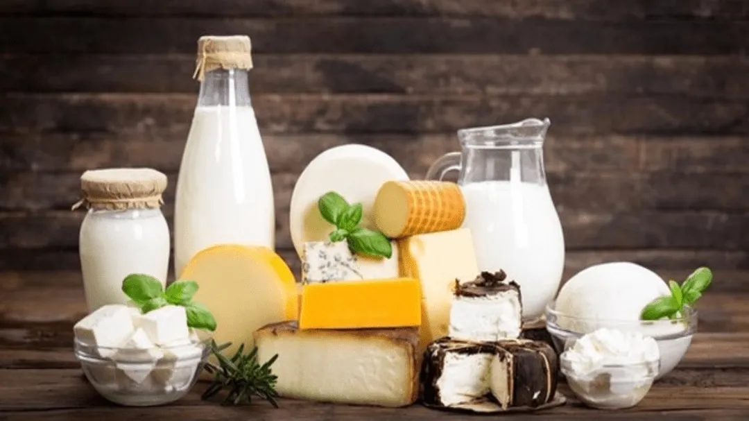 Hazards During Processing in Dairy Products