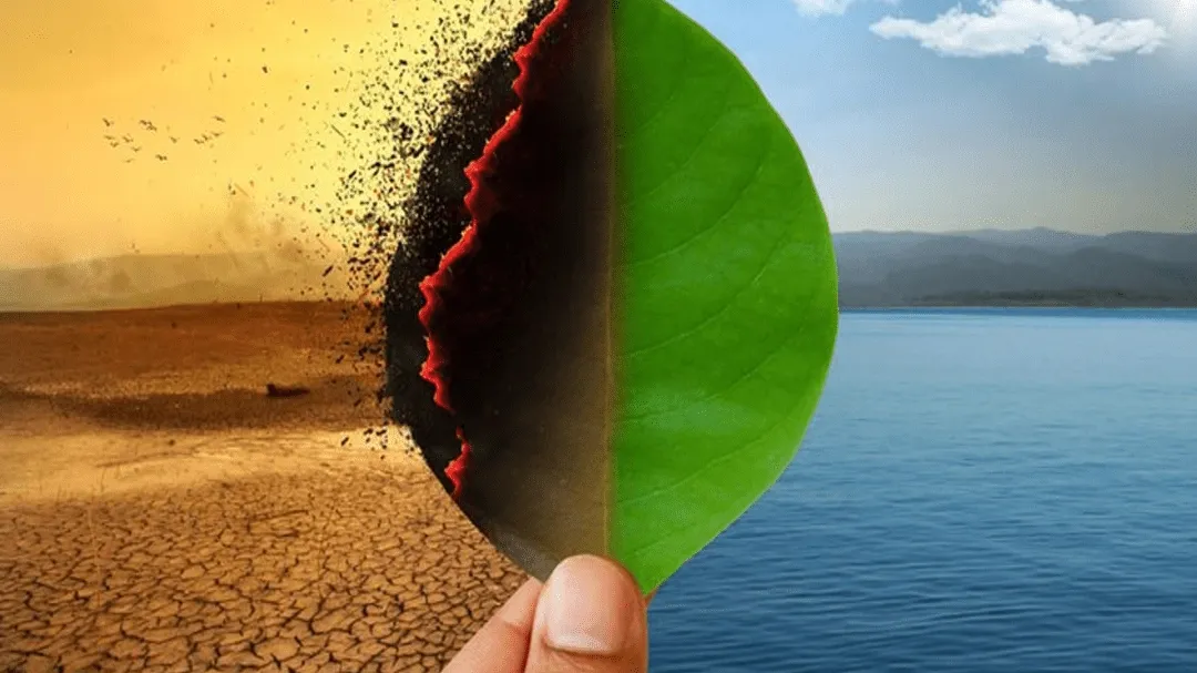 Impact of Climate Change on Food Processing and Manufacturing