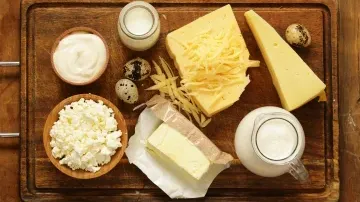 Milk Reception at Dairy Plants: Handling, Grading, and Quality Checks