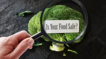End-to-End Food Safety: From Farm to Fork with HACCP and Food Defence