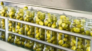 Understanding GMP: Good Manufacturing Practices for Safe and Consistent Food Production