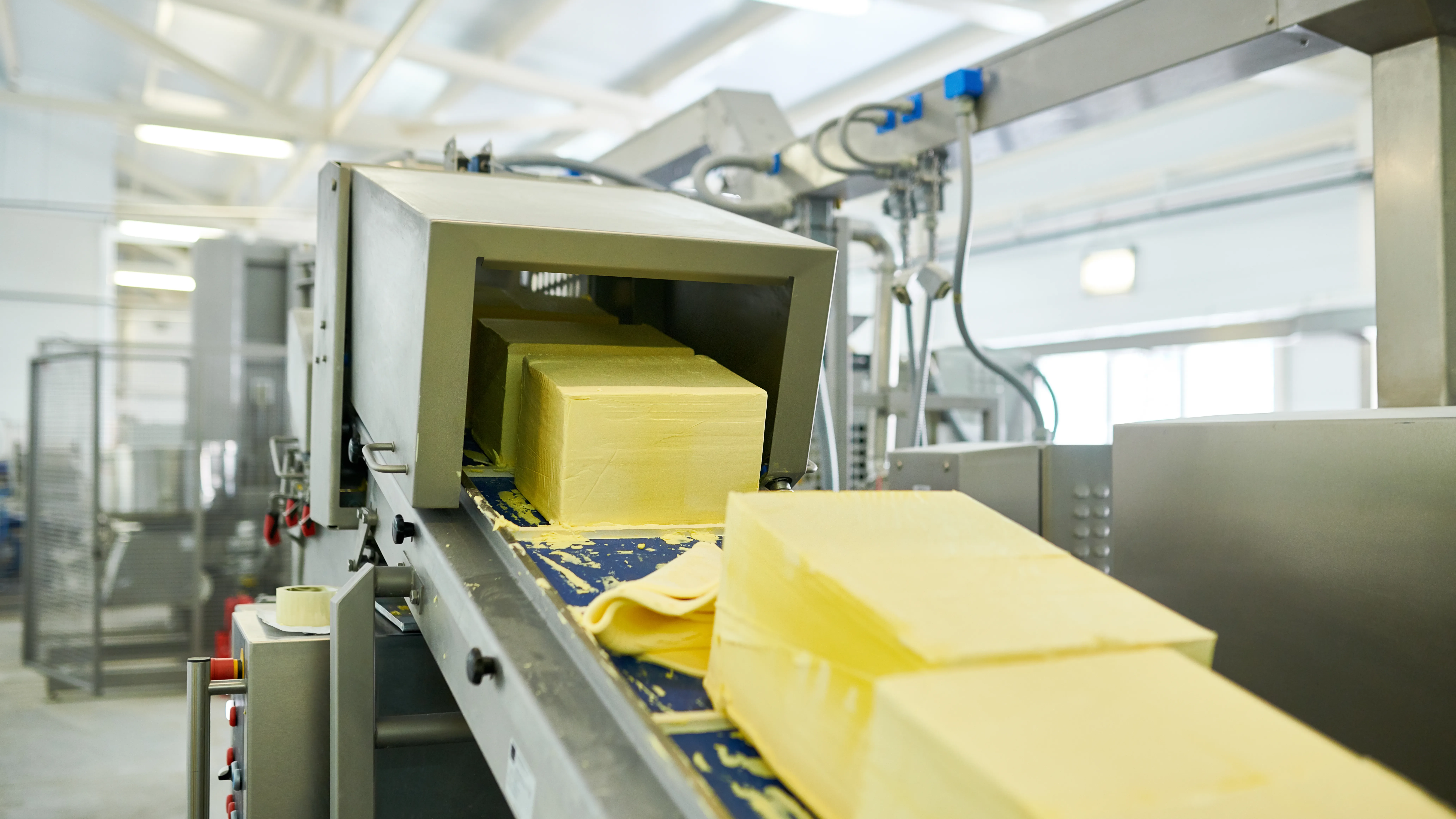 Butter Production Process: From Churned Cream to Finished Dairy Delight