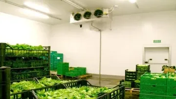 Cold Room Installation & Design: A Complete Guide for the Food Industry