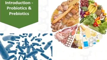 Probiotics and Prebiotics Drinks: Functional Beverages for Gut Health and Immunity