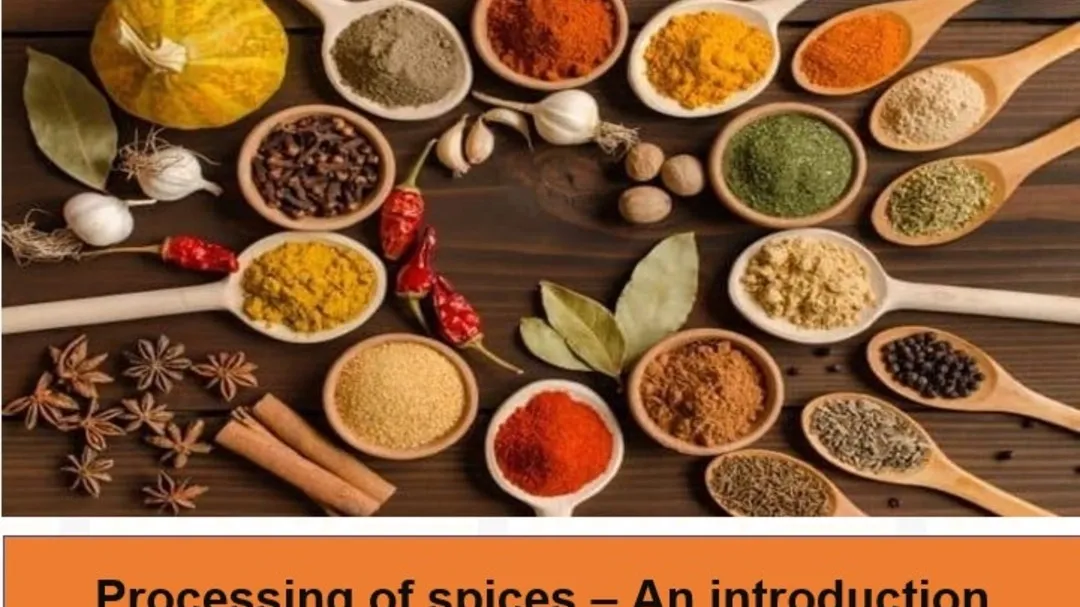 Spice Processing: From Harvest to Packaging – A Complete Guide for the Food Industry