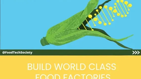 What are GMO? Negative or Positive