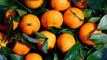 Not all oranges are orange in color