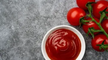 Tomato Ketchup processing