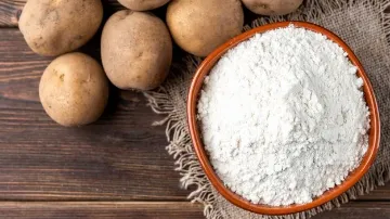 Potato powder production plants