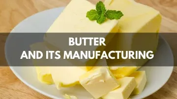 Butter and its Manufacturing