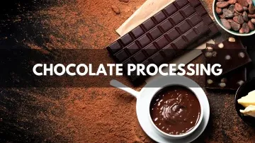 Chocolate Processing
