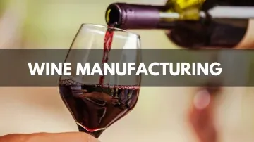 Wine Manufacturing