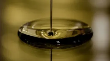 PMG Engineering Completes Factory Design for Golden Oil Industries' Edible Oil Refinery in Onitsha, Nigeria