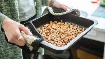 PMG Engineering Completes 20 TPD Greenfield Almonds Factory for Zoh Foods International LLP in Mumbai