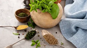 Organic herbs and spices