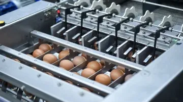 1.5 TPH Egg Pasteurizer and CIP System: System Upgradation