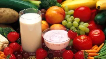 50 TPD Bakery Premixes Factory