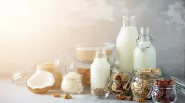 200 KLPD Dairy Factory
