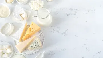1000 KLD Dairy Factory: Process Improvement