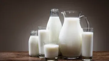 40 TPD Milk Powder Factory: Upgradation for Nestle supply
