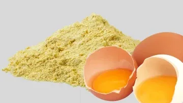 Egg Powder Factory: Upgradation for food safety