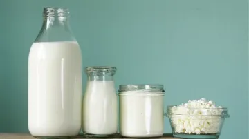 500 KLPD Dairy Factory