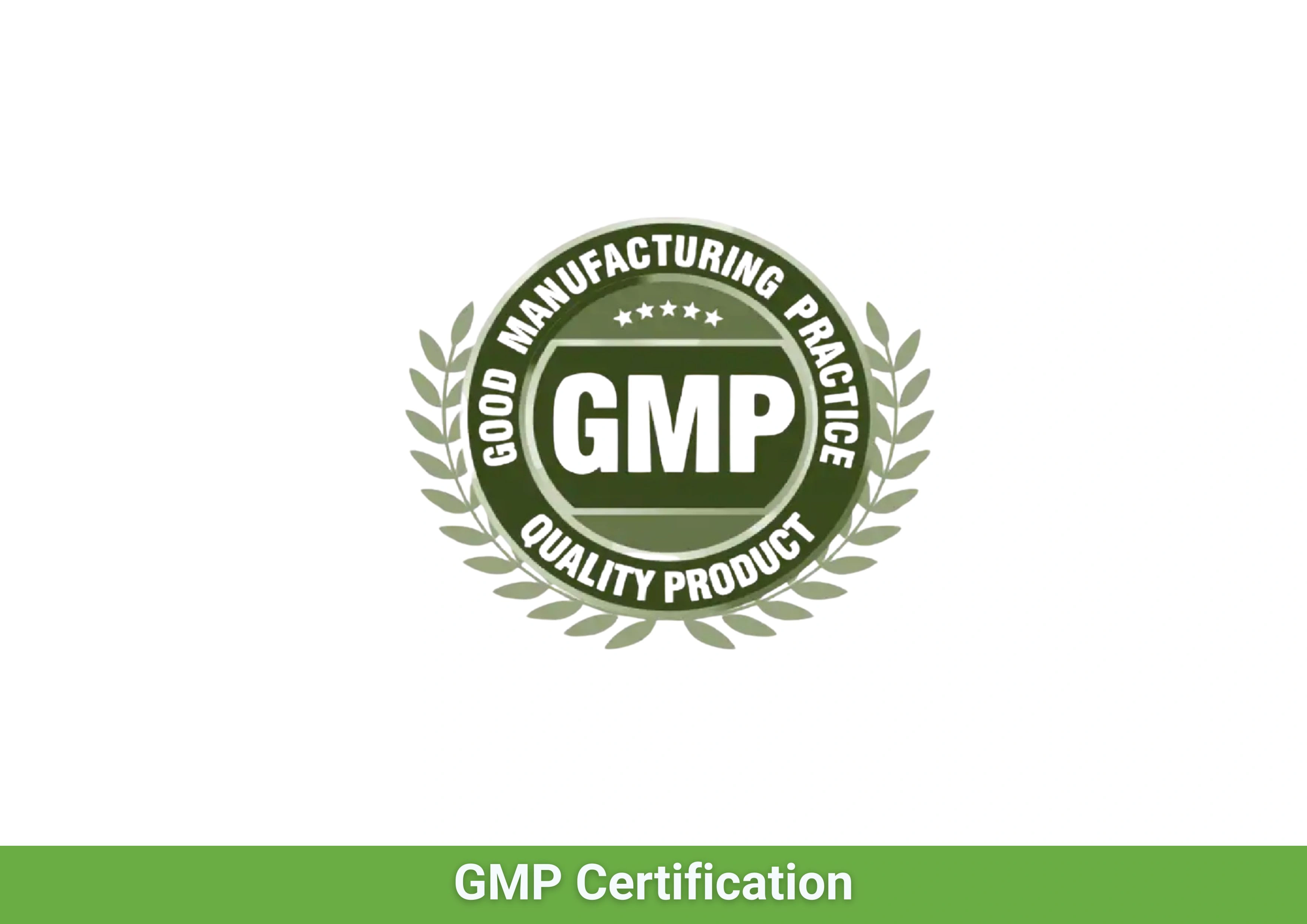 GMP Certification