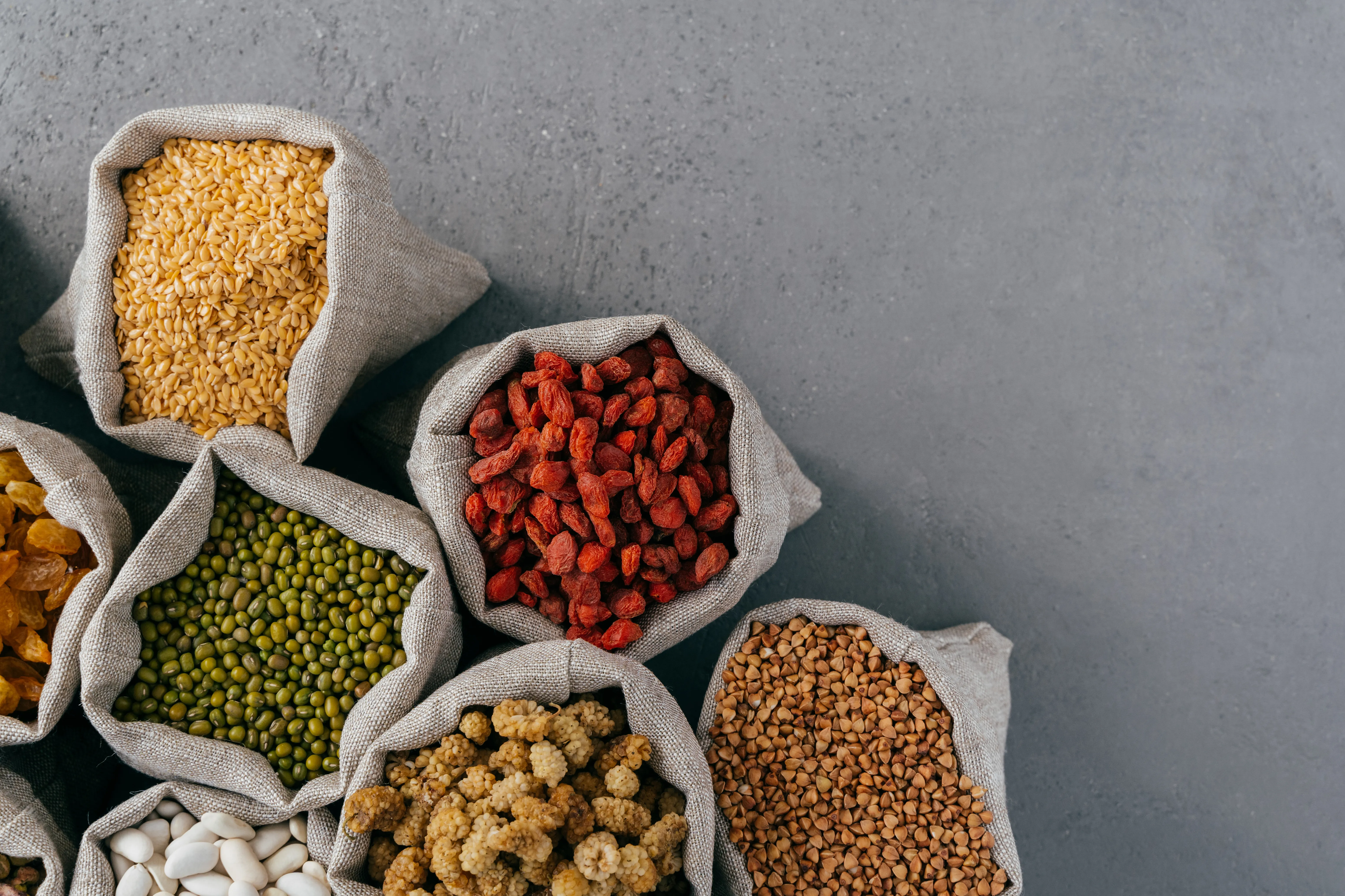 Drying equipment for plant proteins
