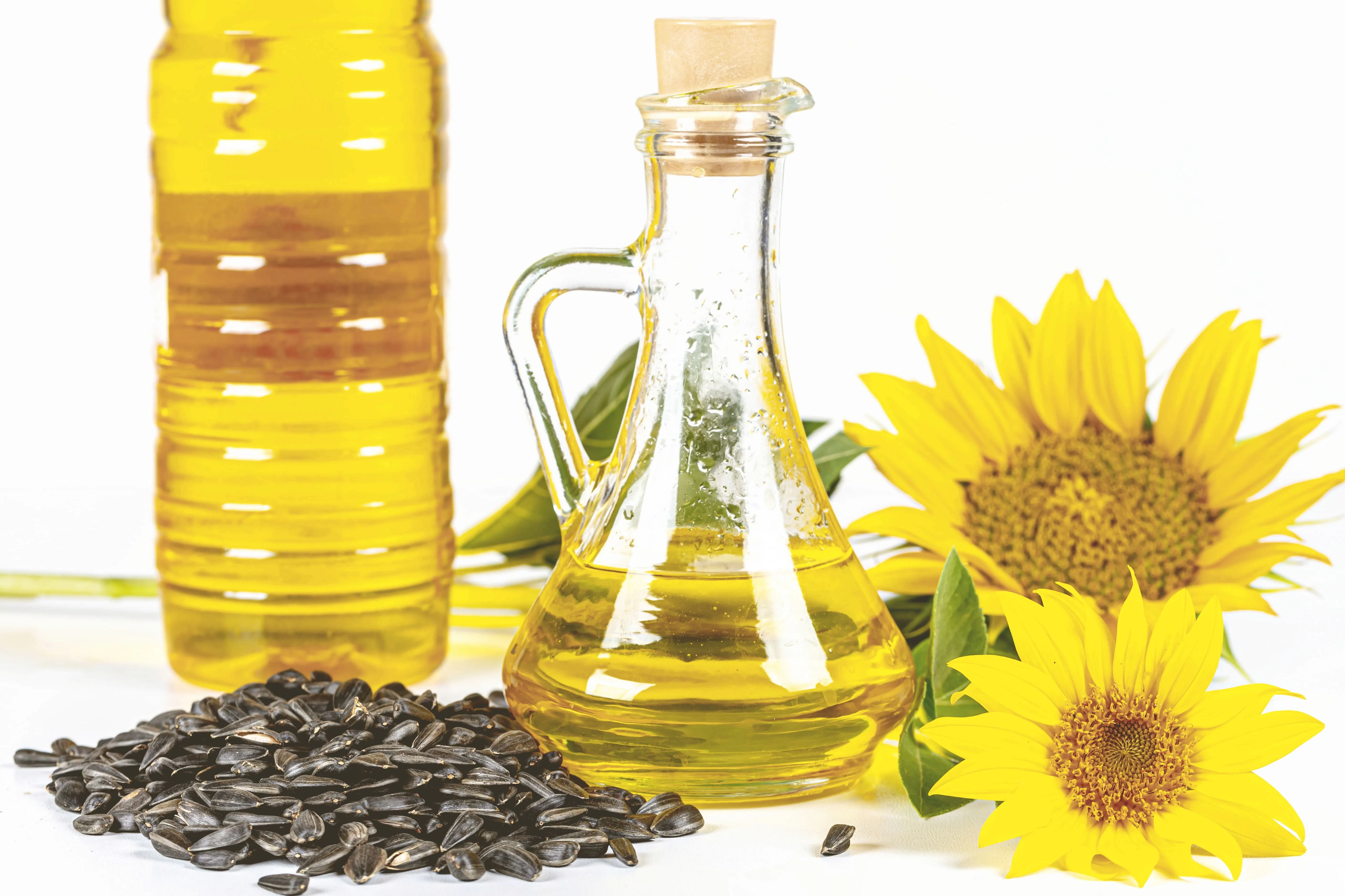 Oilseed preparation plants