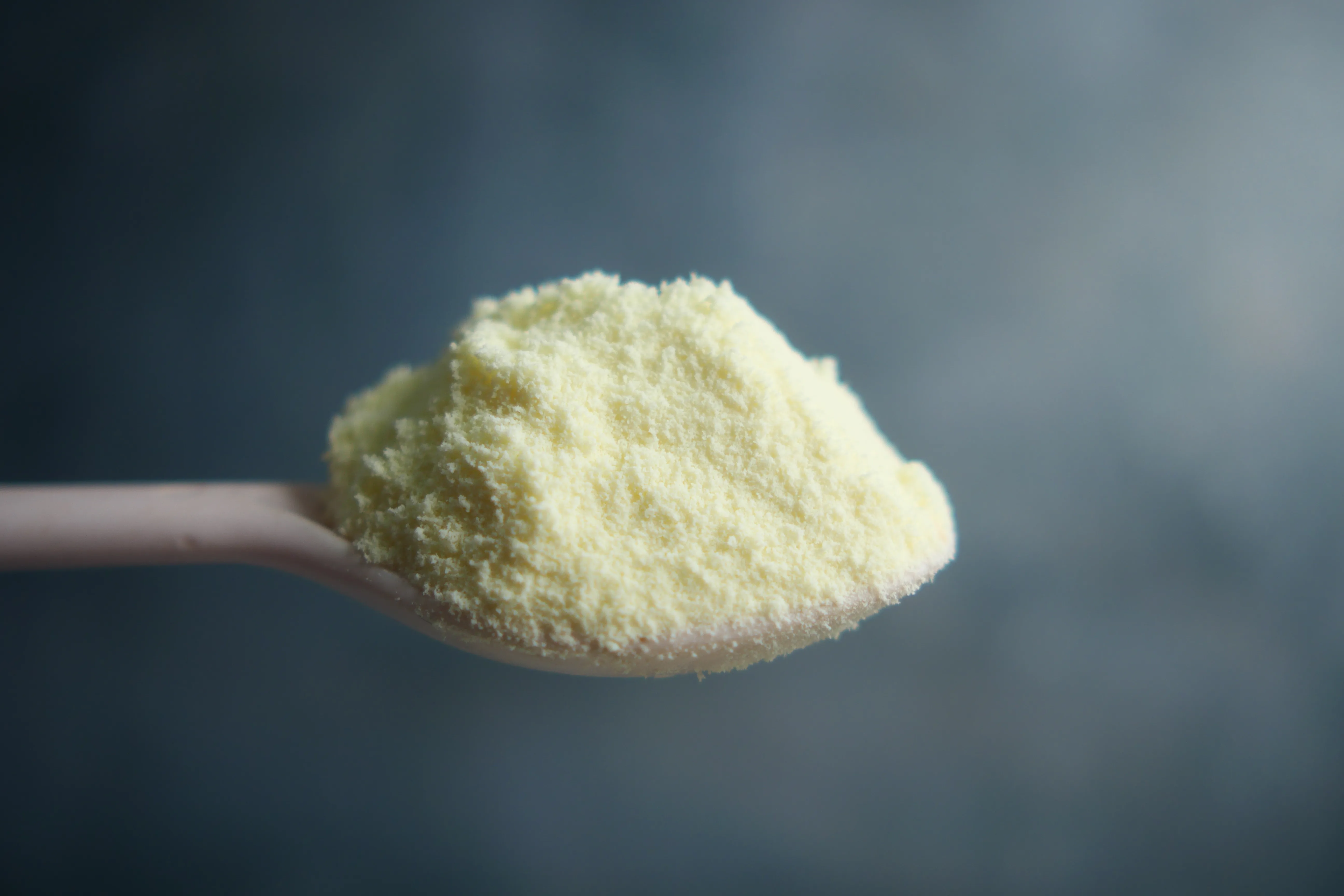 Powdered fat production plants