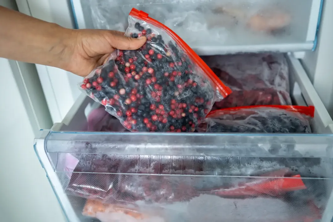Exploring the Scope of Refrigeration in the Food Industry
