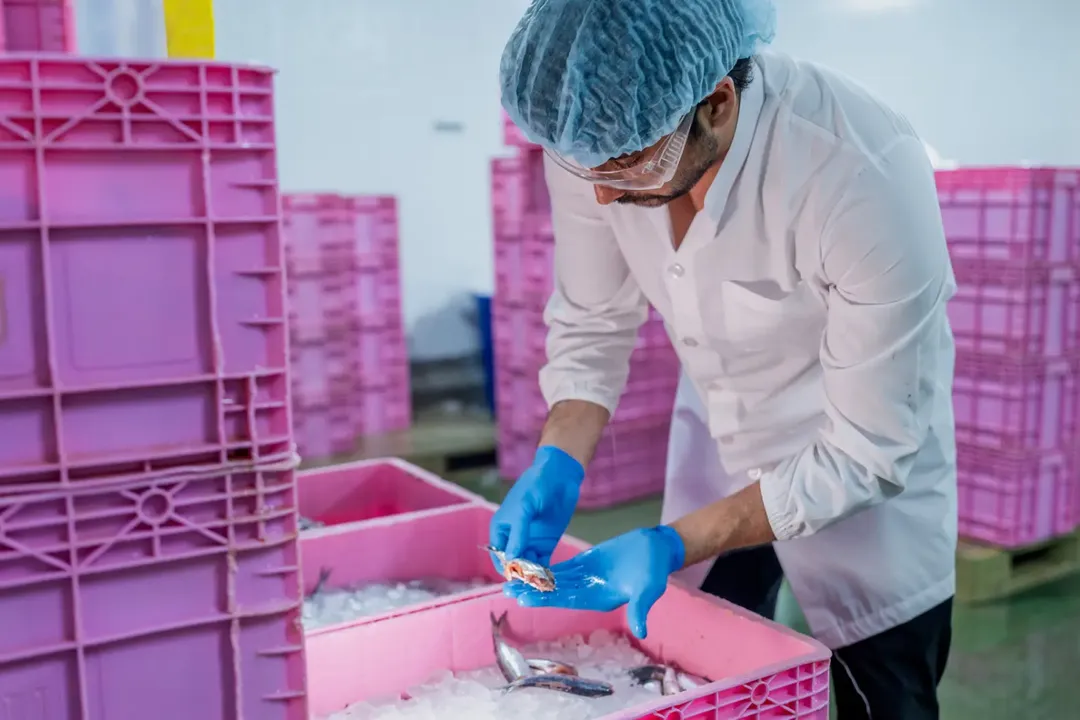 Optimizing Refrigeration Design for Efficient Food Processing Plants