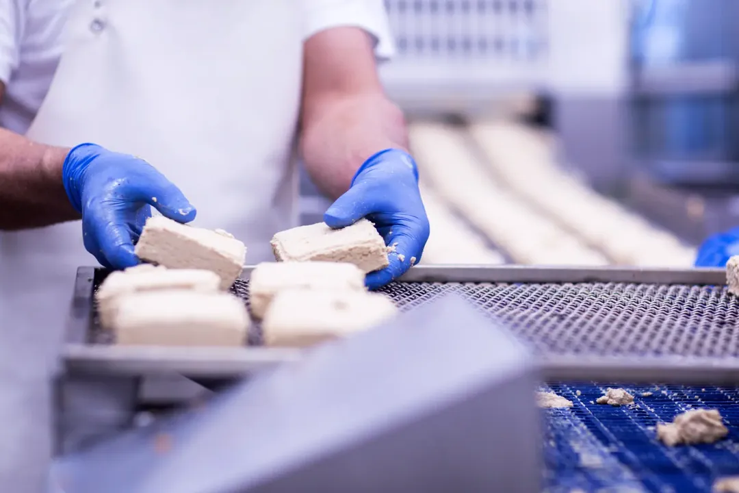 Ensuring Safety in Food Processing Plants: A Comprehensive Guide by PMG Engineering
