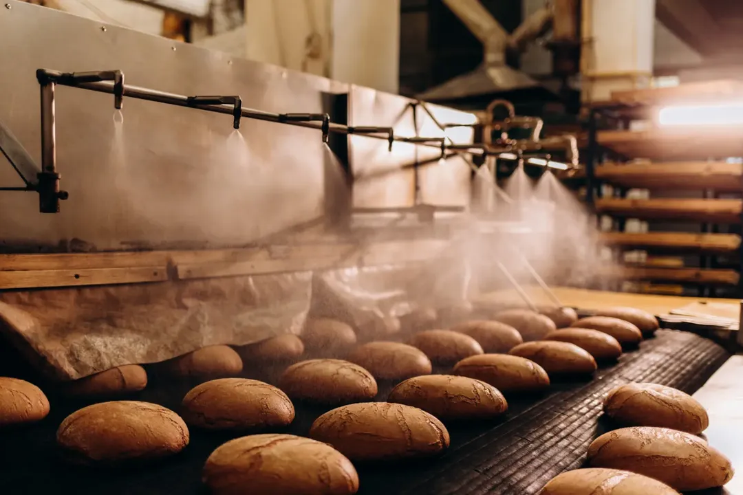 Essential Design Parameters for Food Processing Plant Engineering: A Comprehensive Guide