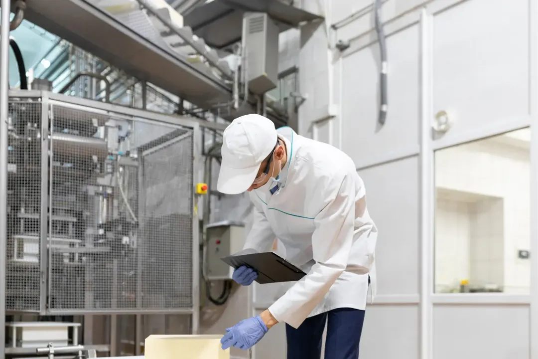 Ensuring Health and Safety Standards in Building World-Class Food Factories