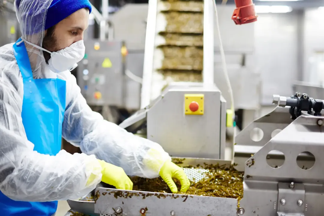 Ensuring Safe Use of Machinery, Tools, and Equipment in Food Manufacturing