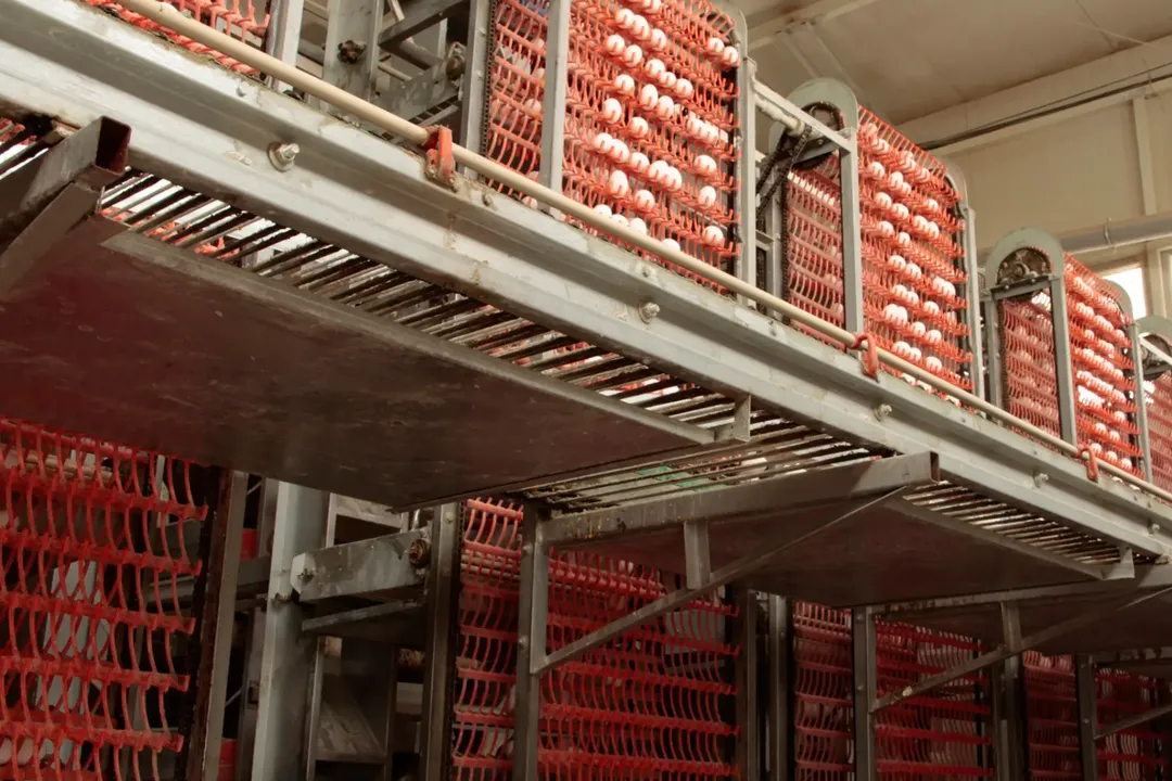 Optimizing Material Handling Systems in the Food Industry with PMG Engineering