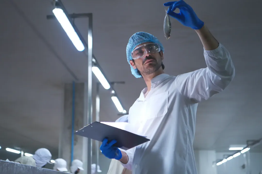 Enhancing Hazard Reporting in Food Manufacturing: A Guide by PMG Engineering