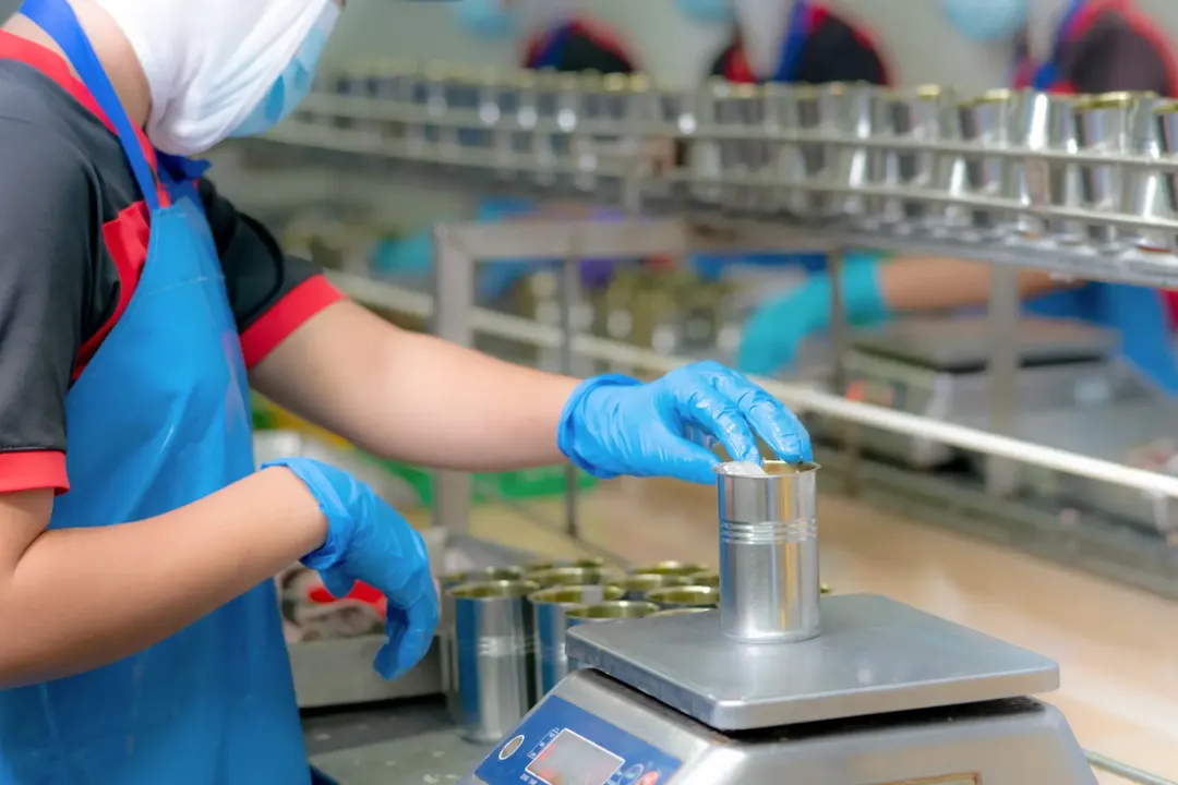 Ensuring Safety and Excellence in Food Manufacturing with PMG Consulting