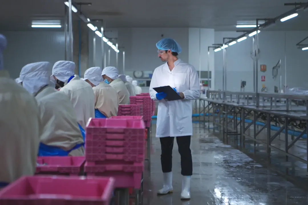Enhancing Food Factory Standards with PMG Engineering: Tackling Substance Abuse