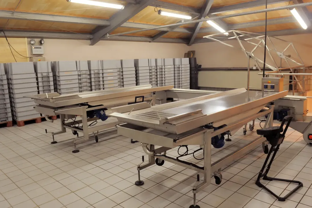Ergonomics in Food Factory Design: An Expert Guide