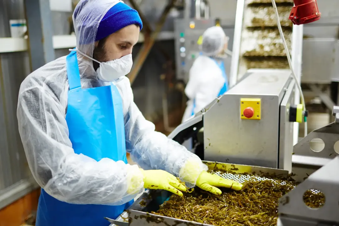 Understanding Industrial Toxicology and Its Impact on Food Manufacturing