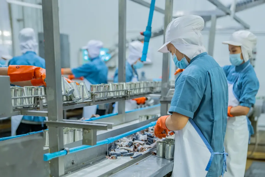 The Importance of Personal Protective Equipment in Food Factory Construction and Safety